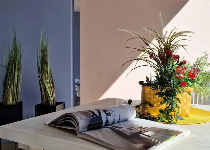 Appartement 300 Mt From The *